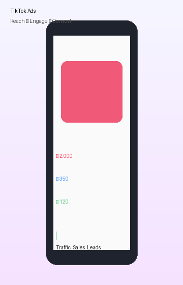 TikTok Ads campaign preview